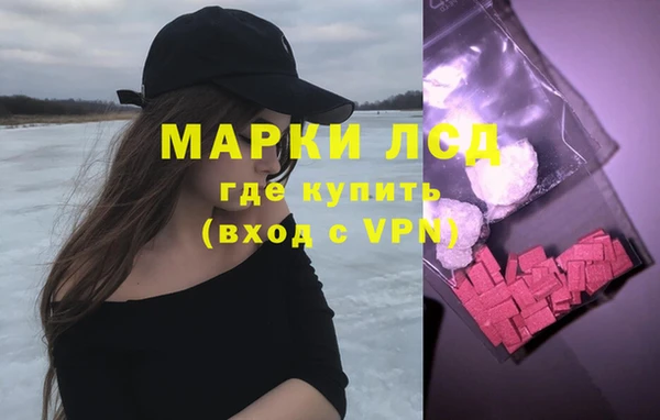 индика Пересвет