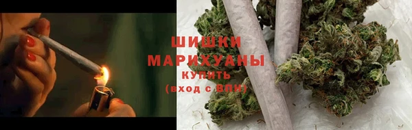 индика Пересвет