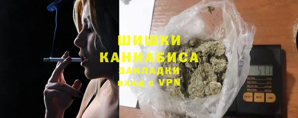 индика Пересвет