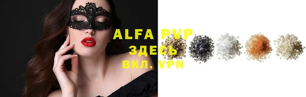 индика Пересвет