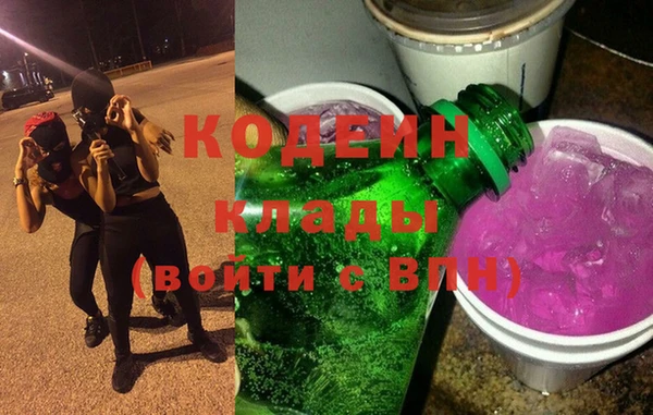 индика Пересвет