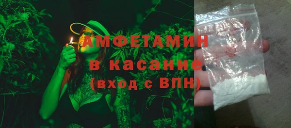 индика Пересвет