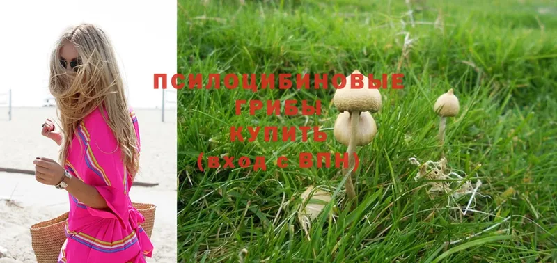 Галлюциногенные грибы Magic Shrooms  закладка  Баксан 