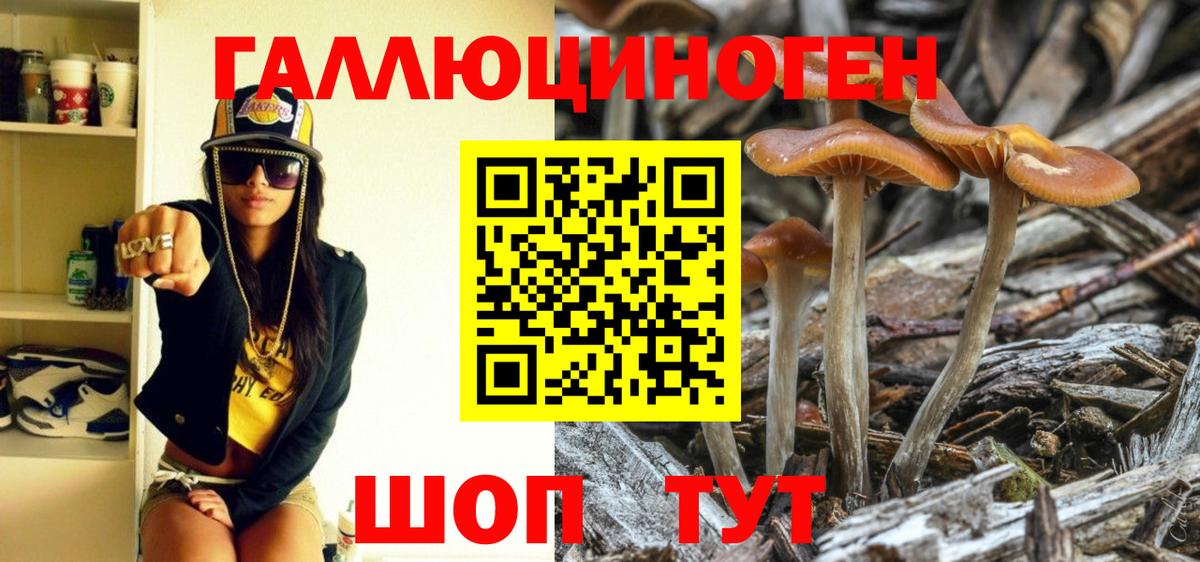 Псилоцибиновые грибы Cubensis  Баксан 