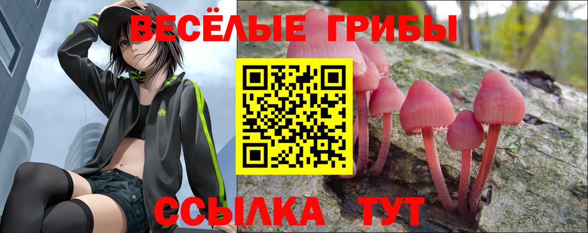 Псилоцибиновые грибы Magic Shrooms Баксан