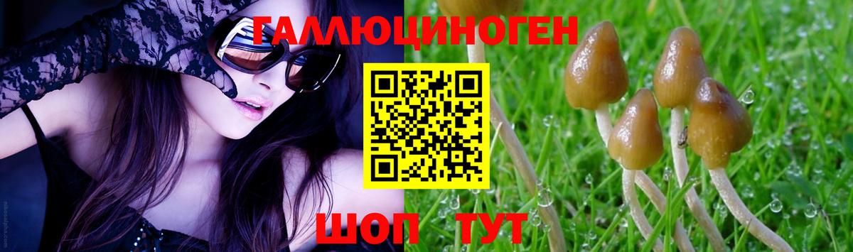 Галлюциногенные грибы GOLDEN TEACHER  Галлюциногенные грибы прущие грибы  Баксан  Вход с VPN 
